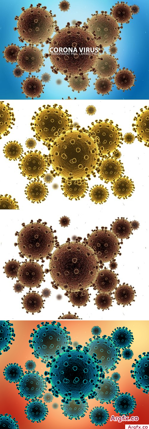 Corona Virus